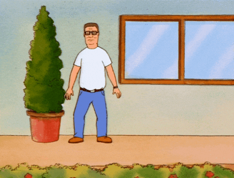 King Of The Hill Hide GIF