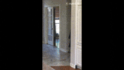 broken leg GIF