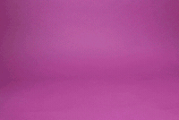 Hungry Give Me GIF by j.a.c.k.i.e.l.a.n.d