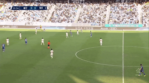 highansol93 giphyupload GIF