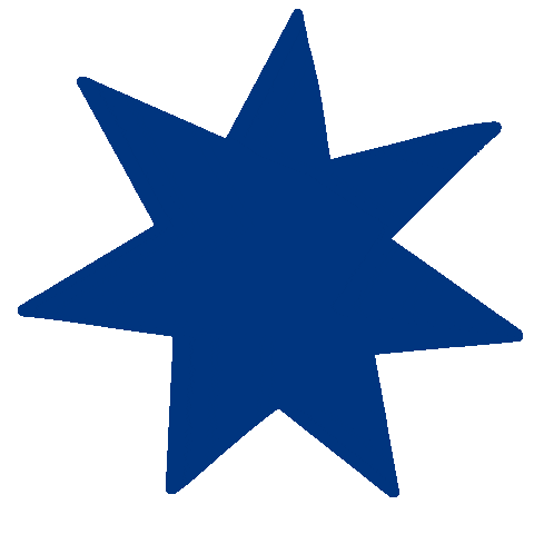 Shine Spark Sticker