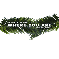Where You Are Angell Sticker by Frequency Music