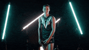 Cricket Batting GIF by Port Adelaide FC