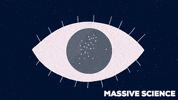 Massivesci animation animated surprise eyes GIF