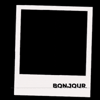 Vintpagesmoon polaroid bujo vintpagesmoon GIF