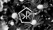 GIF by Okkult Motion Pictures