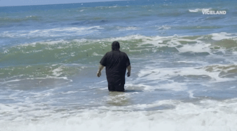 viceland GIF by RISE