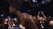 toprank fight boxing fighting espn GIF