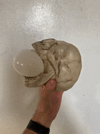 Character Making GIF by Alex Boya