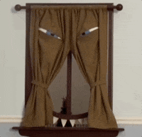 Monster Window GIF