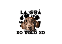 Sausage Dog Dachshund Sticker by Pimp Yo Pets