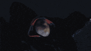 groovy tony schoolboy q GIF by Interscope Records