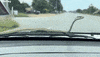 Snake GIF by ViralHog
