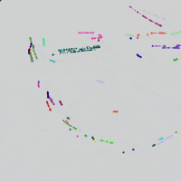 GIF by Boopy Club