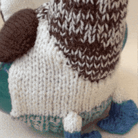 Sea Bird GIF by TeaCosyFolk