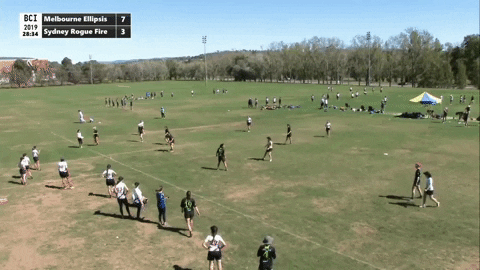 flikulti ultimate frisbee flik GIF