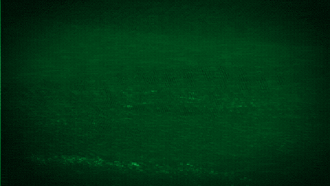 Herdzone giphyupload basketball glitch green GIF