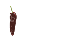 Vegetables Healthyfood Sticker by RijkZwaan