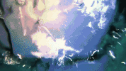 GIF by Dolphin Discovery