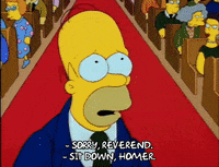 Season 2 Episode 20 GIF by The Simpsons