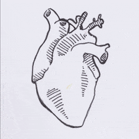 GIF by molehill