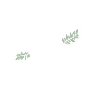 Newreel Sticker by Sogna con Fabula