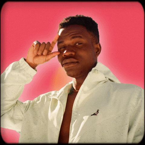 olufamule giphygifmaker GIF