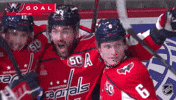 Happy Washington Capitals GIF by NHL