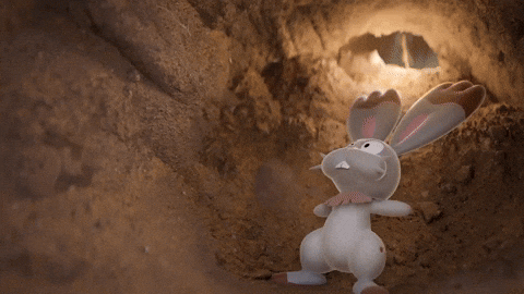 Bunny Help GIF by Pokémon