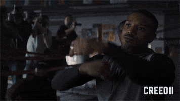 michael b jordan fighting GIF by Creed II