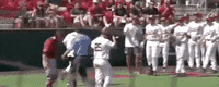World Series Baseball GIF by NCAA Championships