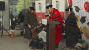 High Five Pharmacy School GIF by University of Maryland, Baltimore