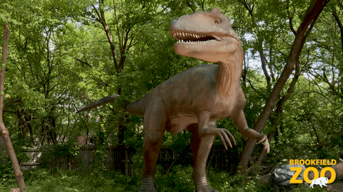 Schitts Creek David GIF by Brookfield Zoo