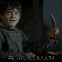 game of thrones hbo GIF by Catch Drogon