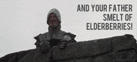 monty python film GIF by Head Like an Orange