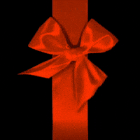 Cat Christmas GIF by sillynub
