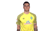 Red Card Zetti Sticker by SV Werder Bremen
