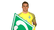 Zetti Zetterer Sticker by SV Werder Bremen