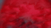 stop motion artist GIF by Caitlin Craggs