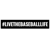 Live The Baseball Life Sticker by Baseball Youth