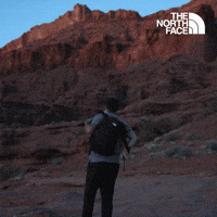  Have You Ever - The North Face