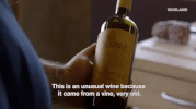 viceland GIF by F*CK, THAT'S DELICIOUS