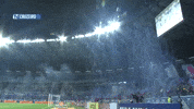 Minas Gerais Soccer GIF by Cruzeiro Esporte Clube