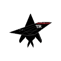 Air Force Stealth Sticker by RampCheckGlobal