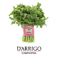 italian rapini Sticker