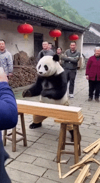 Kung Fu Fight GIF