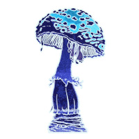 Lettering Mushroom Sticker by Dolly Noire