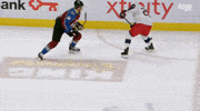 ice hockey GIF by Colorado Avalanche