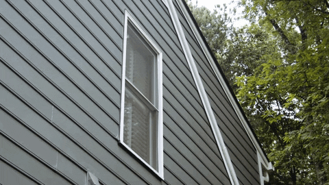 Raytay17 giphyupload GIF