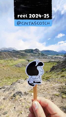 REEL cintascotch 2024-2025